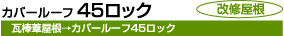 カーバールーフ45ロック