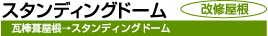 スタンディングドーム