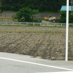 第31回黒部名水マラソンの競技写真