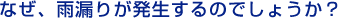 �ʤ�����ϳ�꤬ȯ������ΤǤ��礦����